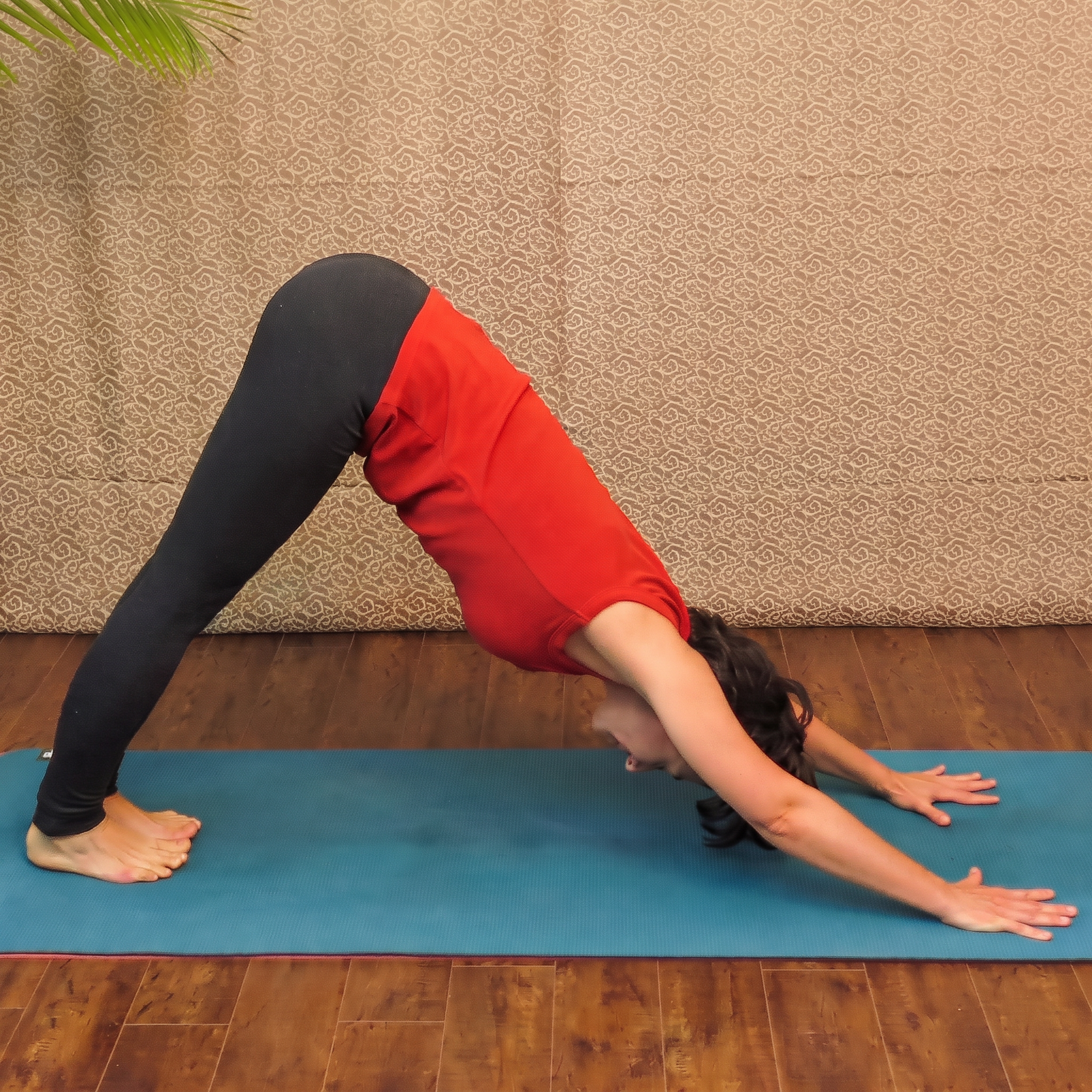 Traditional Hatha Yoga | Sep-Oct with Zofia
